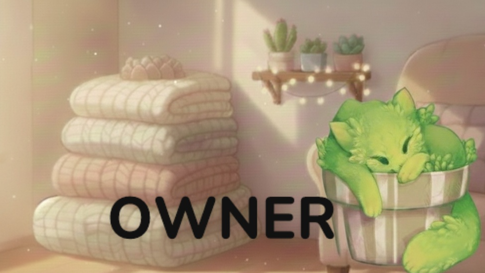 Cozy Cactus Bossのバナー