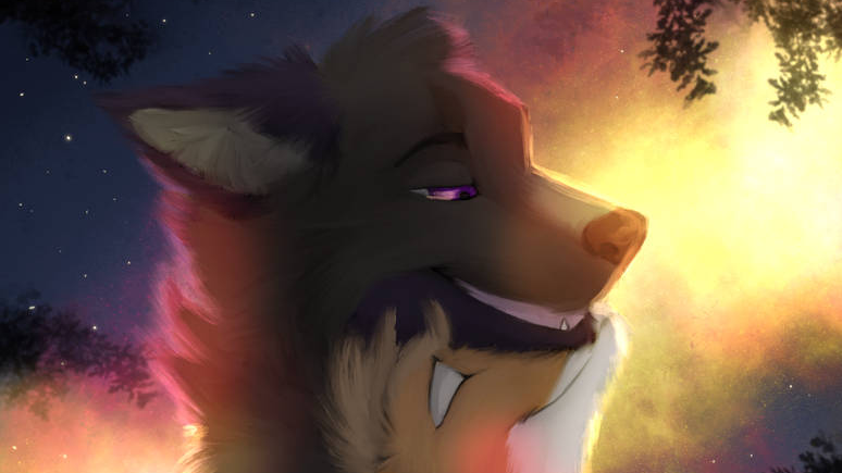 Foxo Fluffs