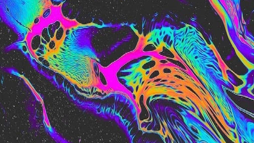 The Trippy Toadstoolのバナー