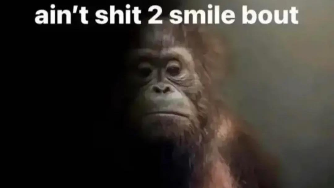 ain'tshit2smilebout