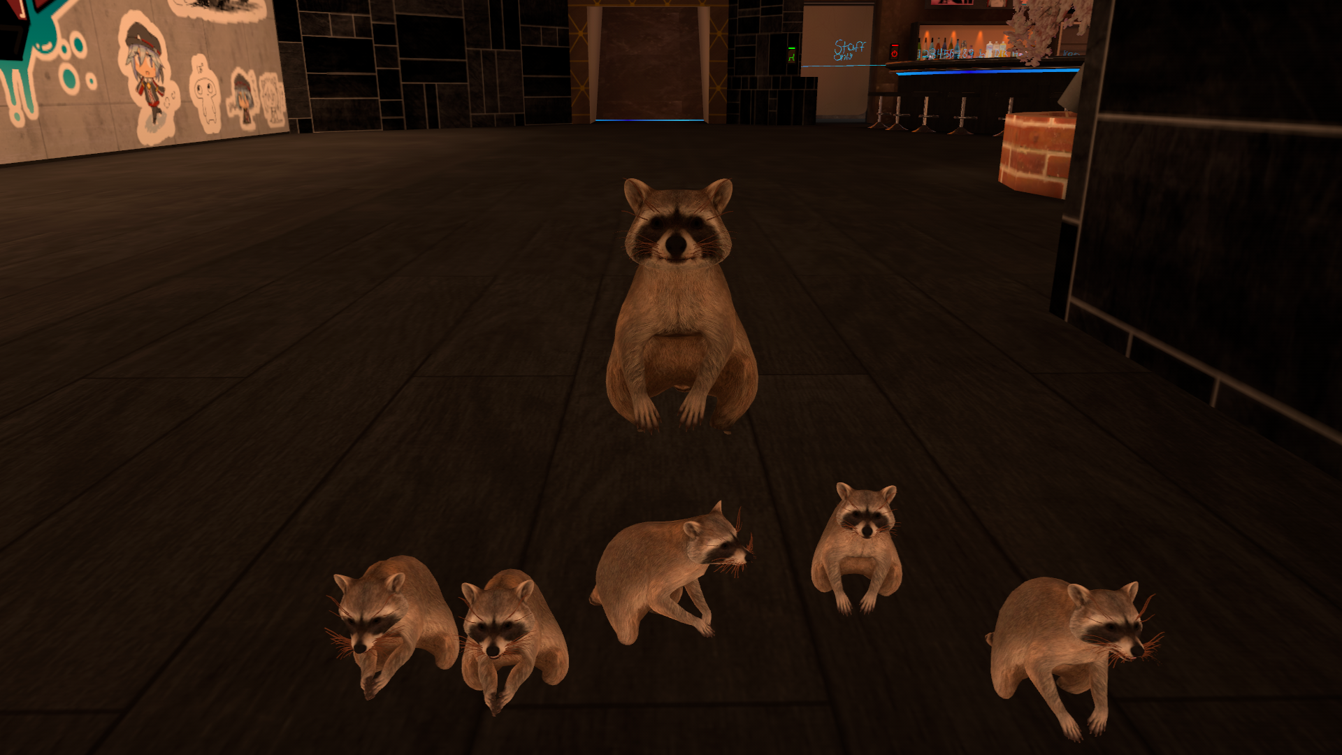 The Raccoon Cult
