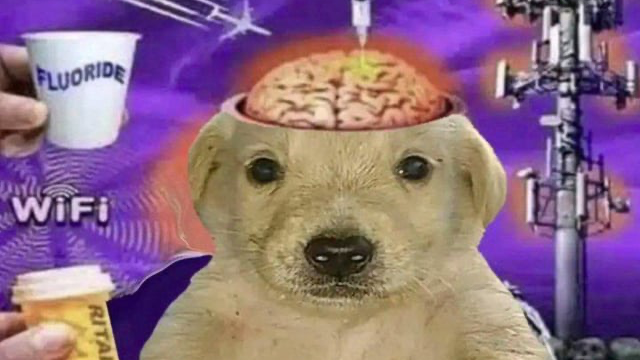 The Lobotomized