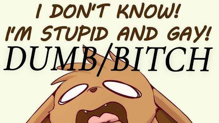 Dumb Bitchのバナー