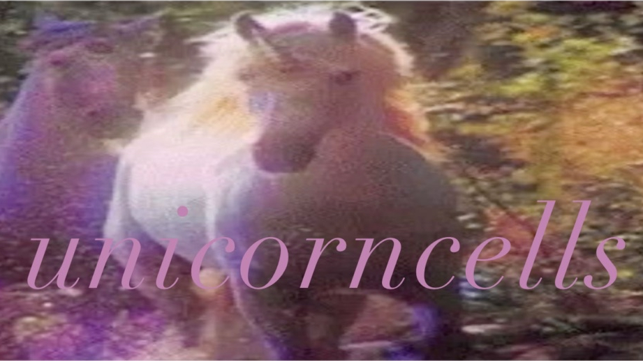 unicorncells