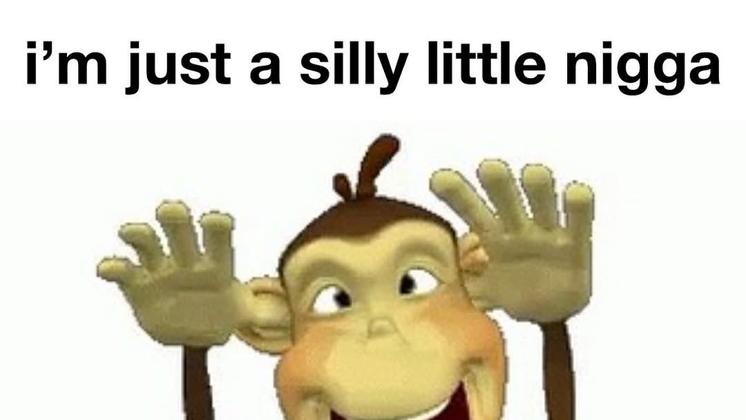 Silly niqqqasのバナー