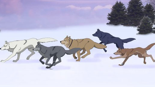 Hybrid Pack