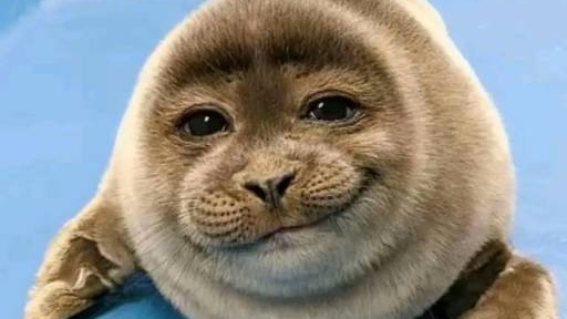 Sealtopiaのバナー