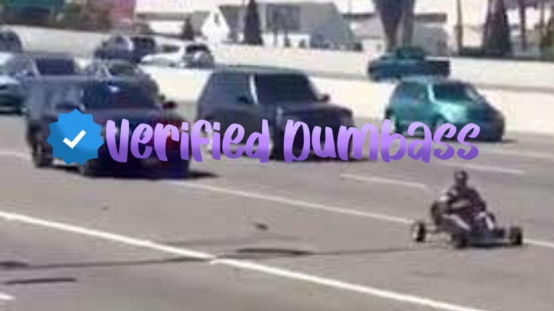 Dumbass