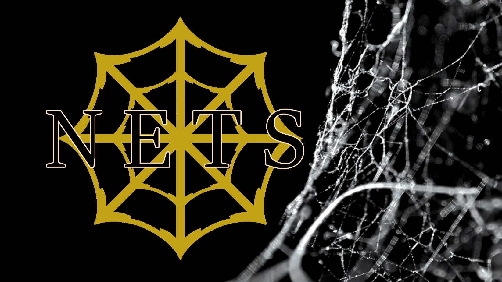 NETSのバナー