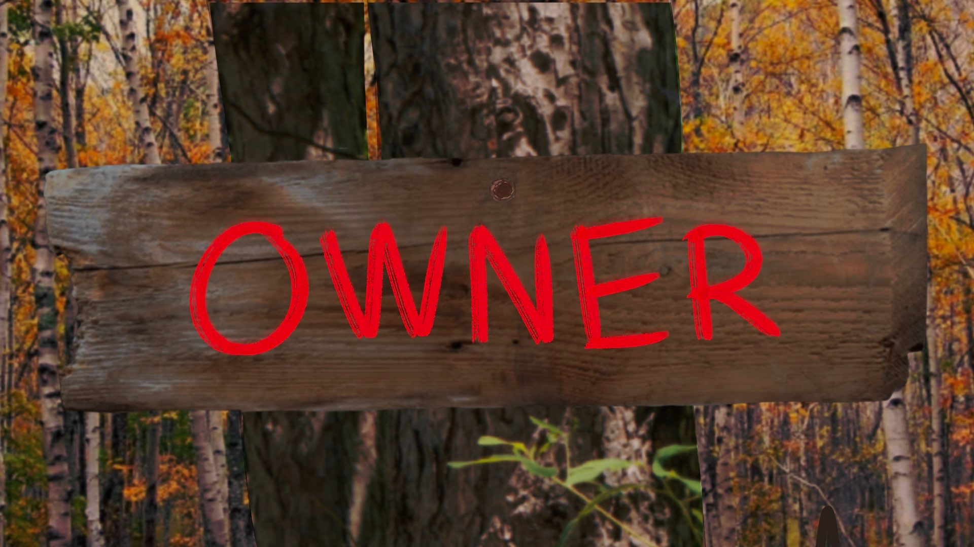 Some Girls Allowed Owner