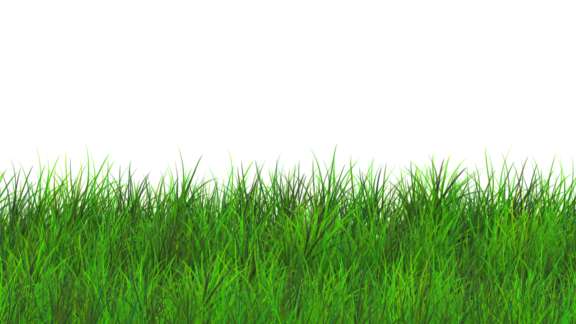 Plantpilled