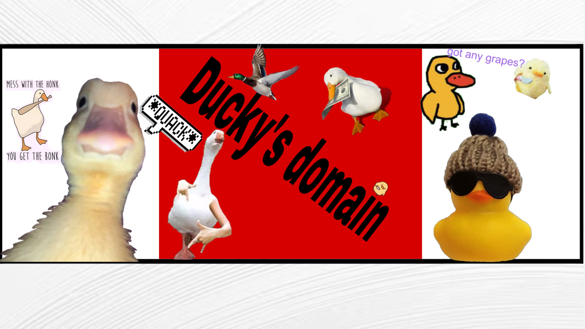 The town of Duckmaniaのバナー