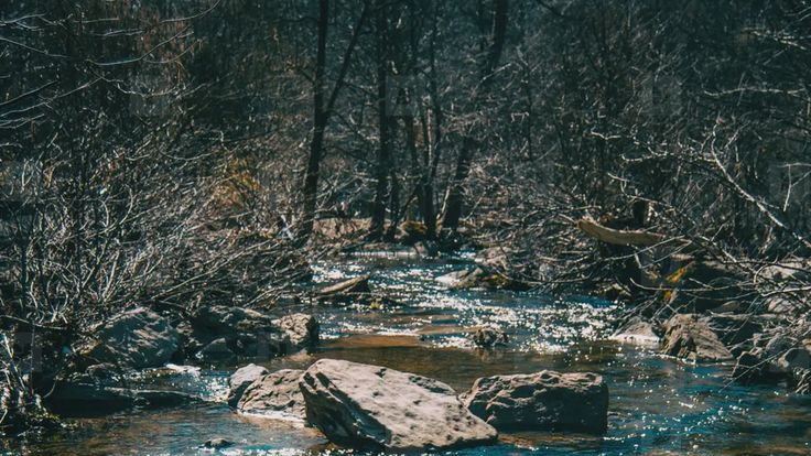 Riverside
