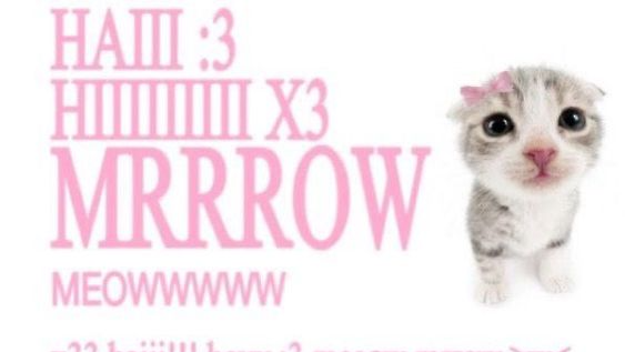 kitten playpenのバナー