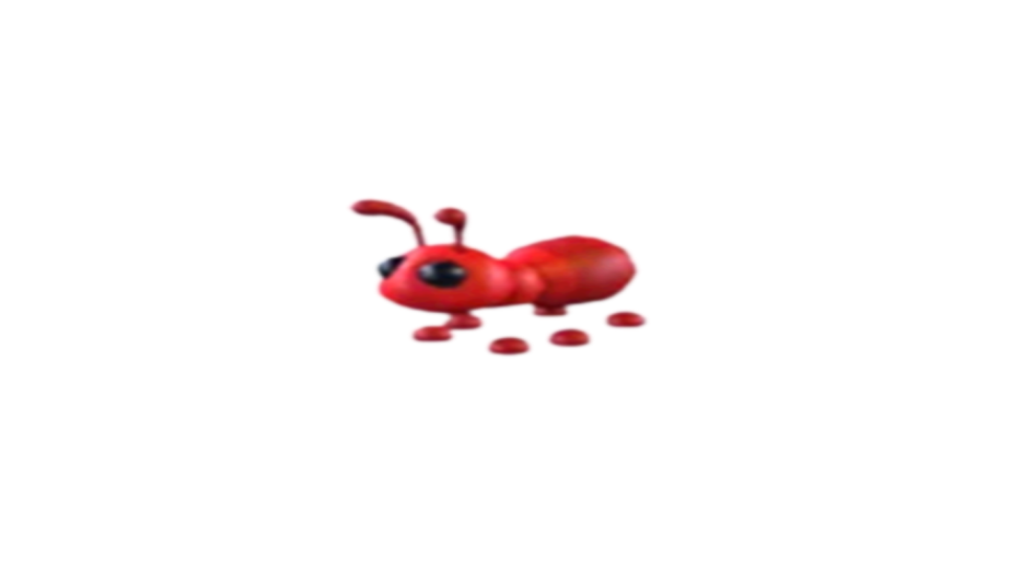 'suk is an ant