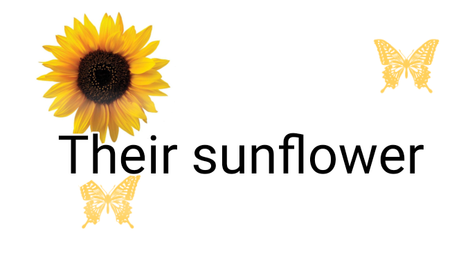 Their Sunflower bunnyのバナー