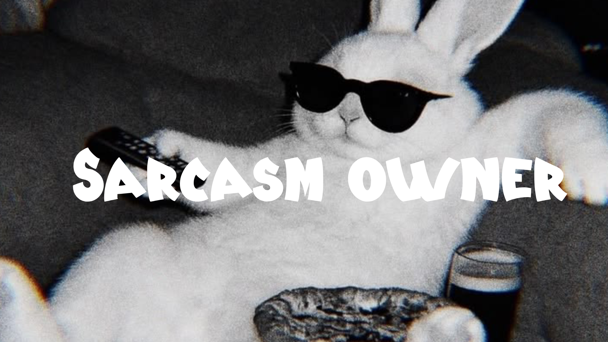 The Sarcasm Society Owner