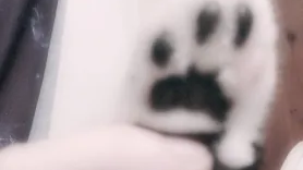 Gԋσʂƚყყ CʅυႦのバナー