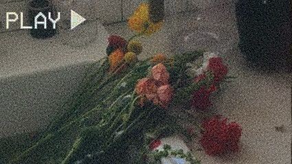 Vibesのバナー