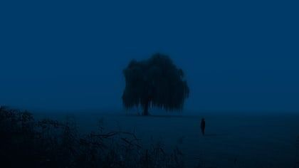 Anhedonia