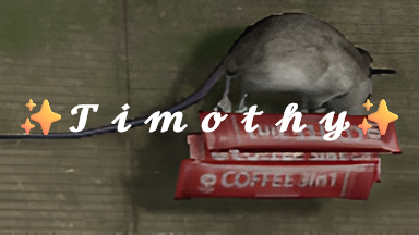 Timothy Worshiper'sのバナー