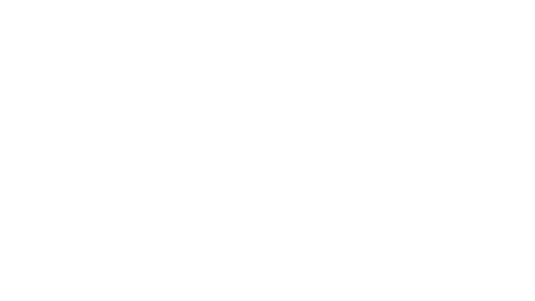 CEO of Festival Plaza