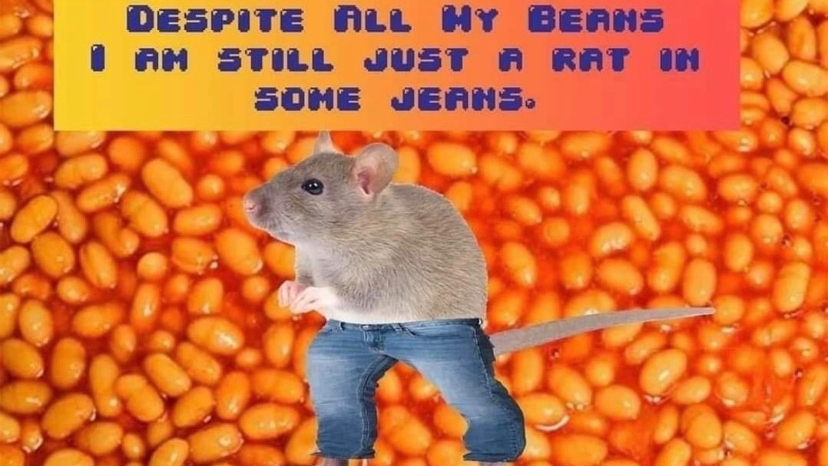 Beeeaaaannnnsssssのバナー