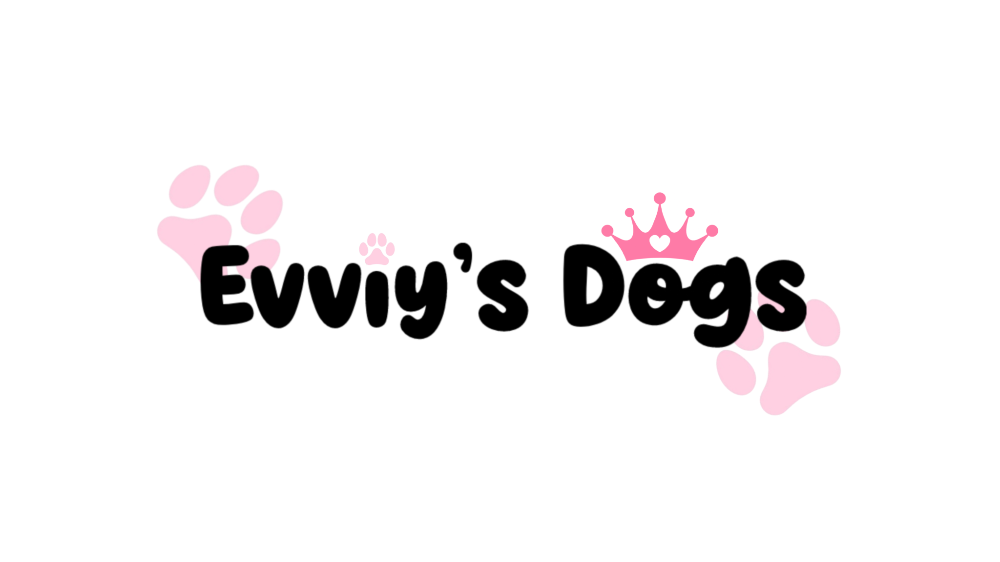 Evviy's dogsのバナー