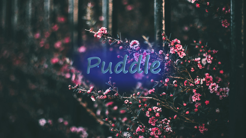 Puddleのバナー