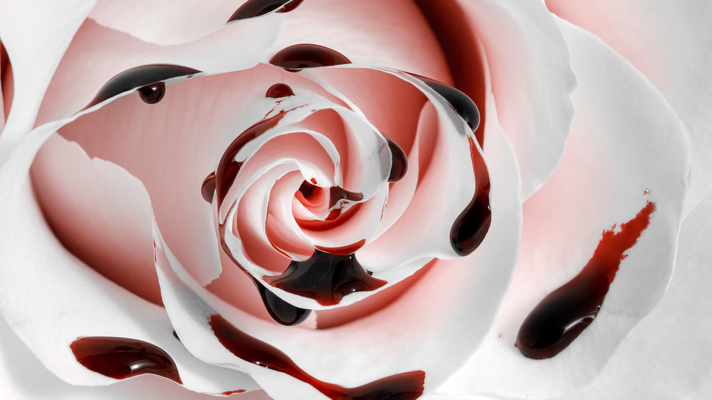 roses bleed throughのバナー