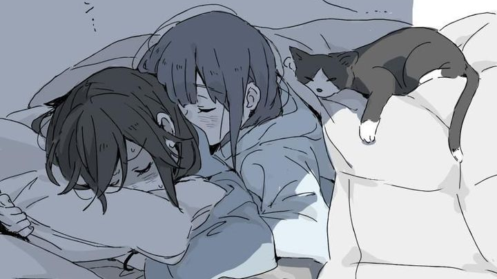 Pet Pillows