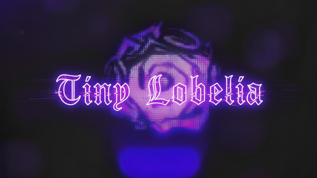 Tiny Lobeliaのバナー