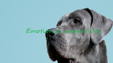 Emotional Support Animalのバナー