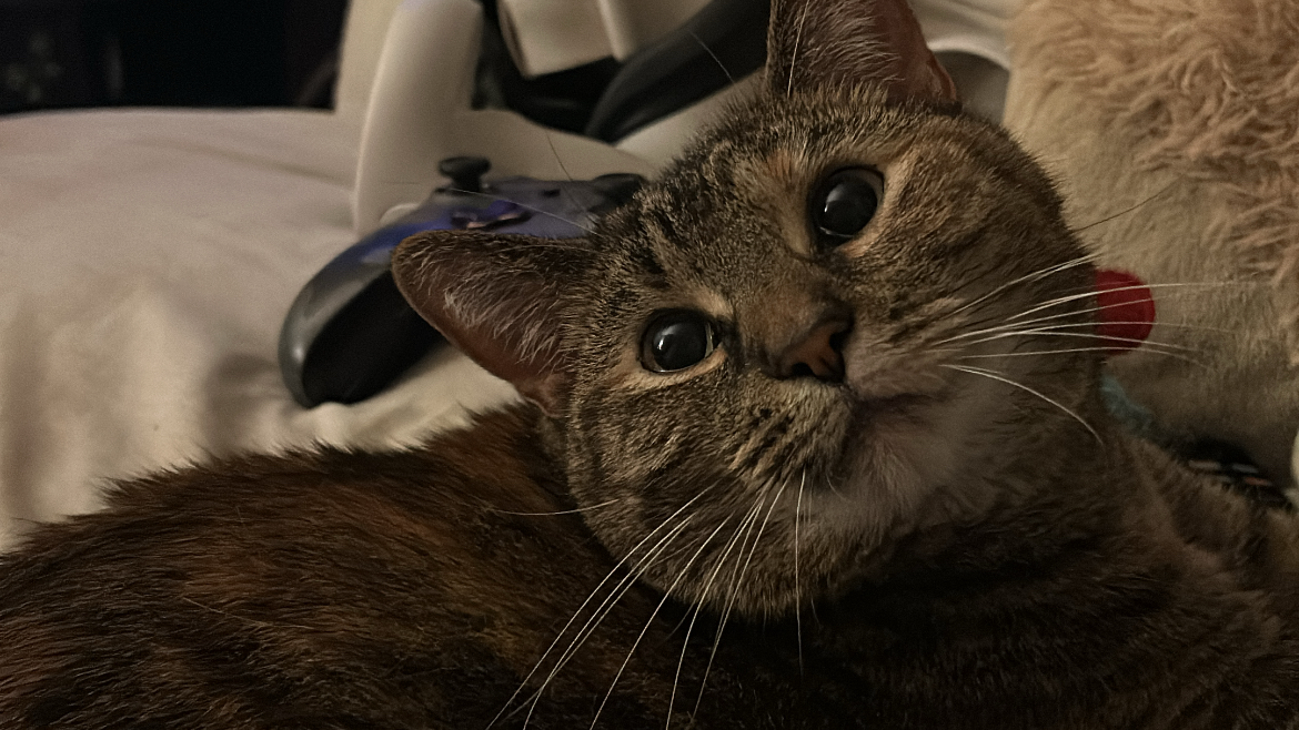 lucille
