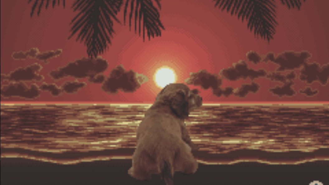 puppy on da beach