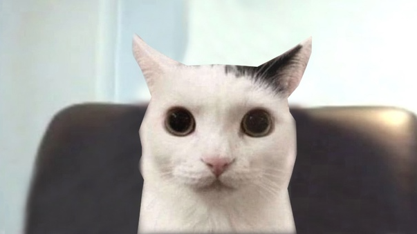zaza