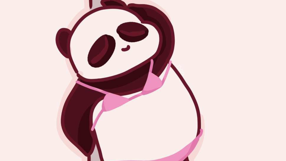 pandanationのバナー