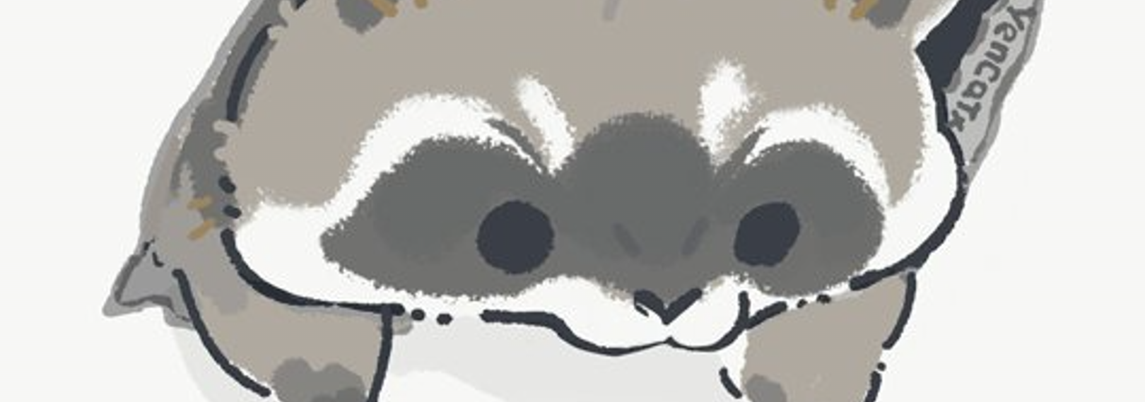 Raccs