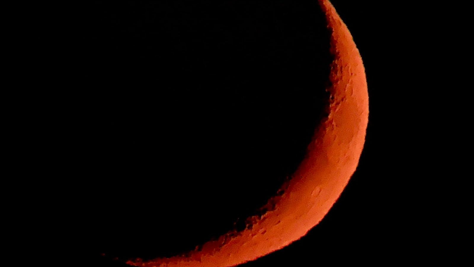 Moon Lust