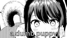 dumb puppy'sのバナー