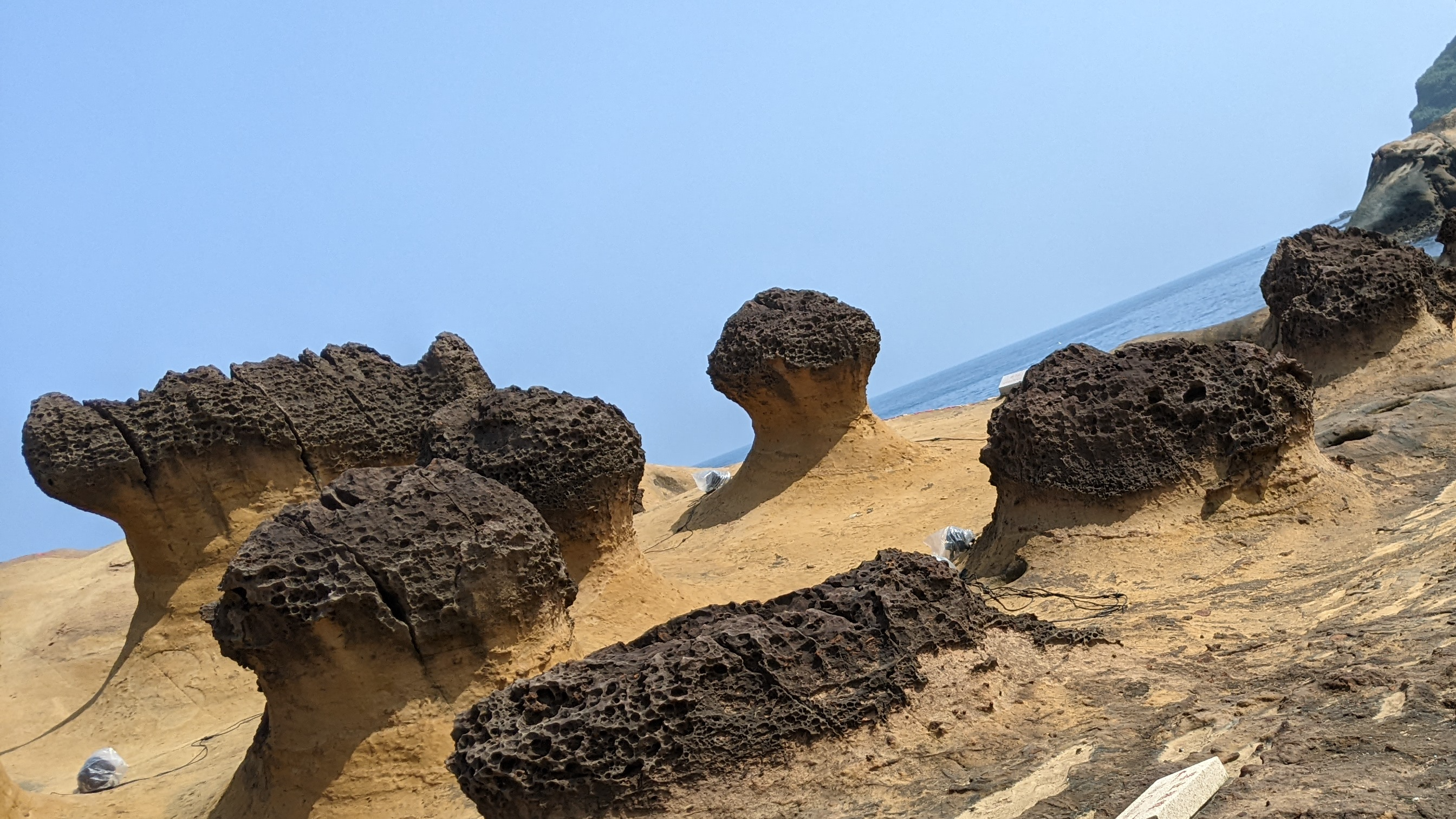 秘密基地