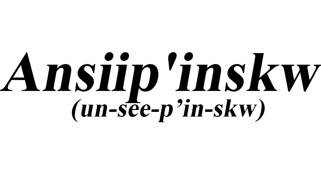 Ansiip'inskwのバナー