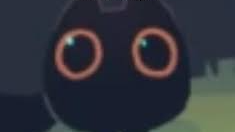 Cult of MoeMoe