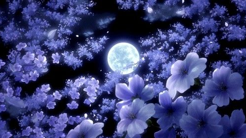Lunar gardenのバナー