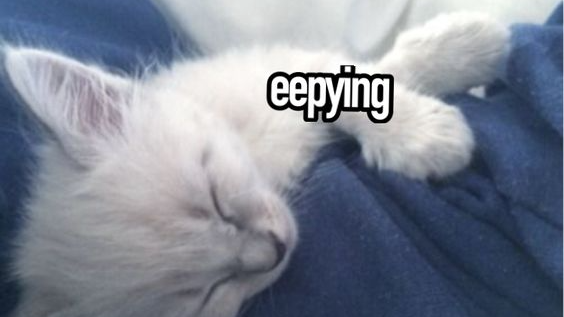 eepyのバナー