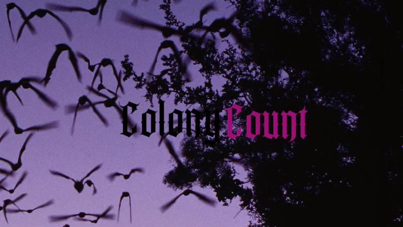 Colony Countのバナー