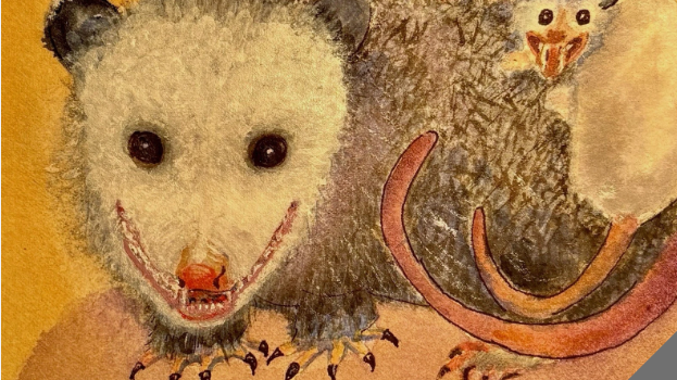 The Possum Posseのバナー