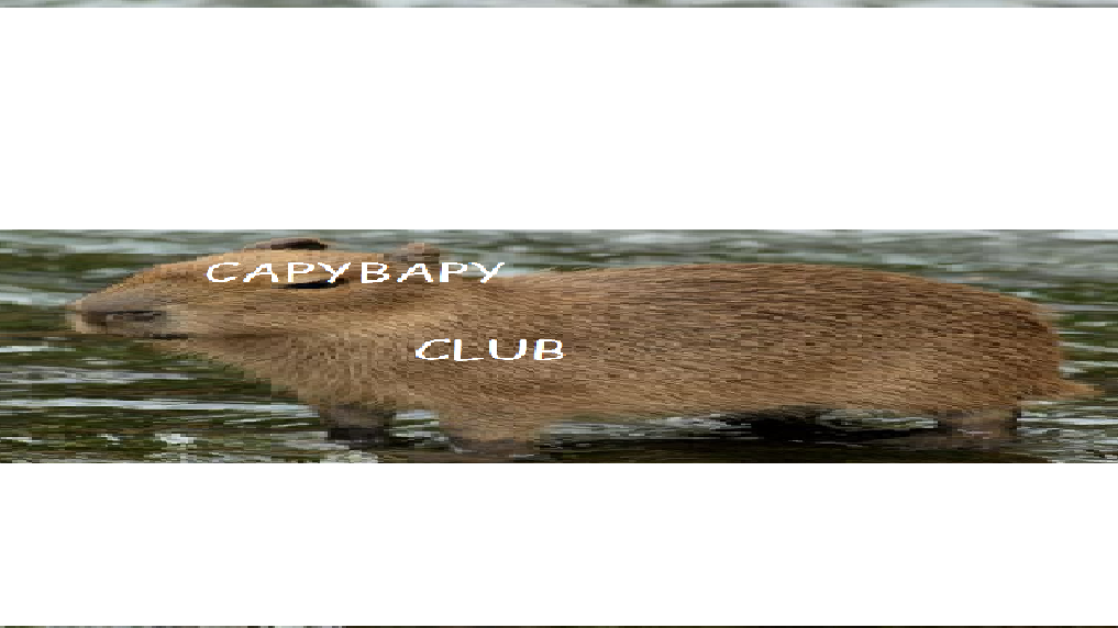 capybapy clubのバナー