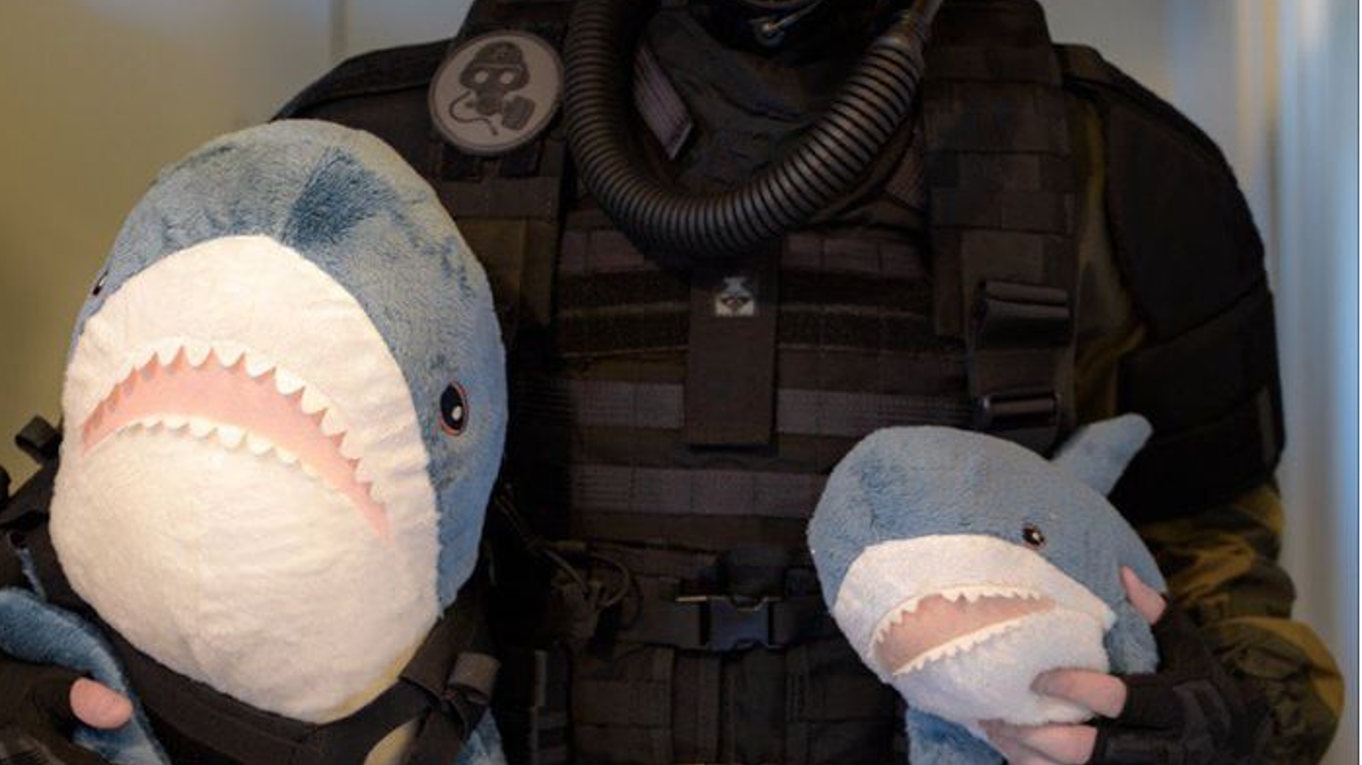 Shork