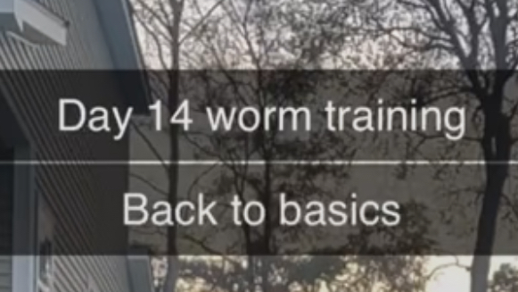 Worm trainingのバナー